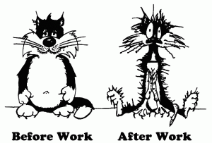 BeforeWorkAfterWork