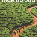 Lonely Planet : Inde du Sud