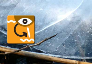 Blog de lATLF
