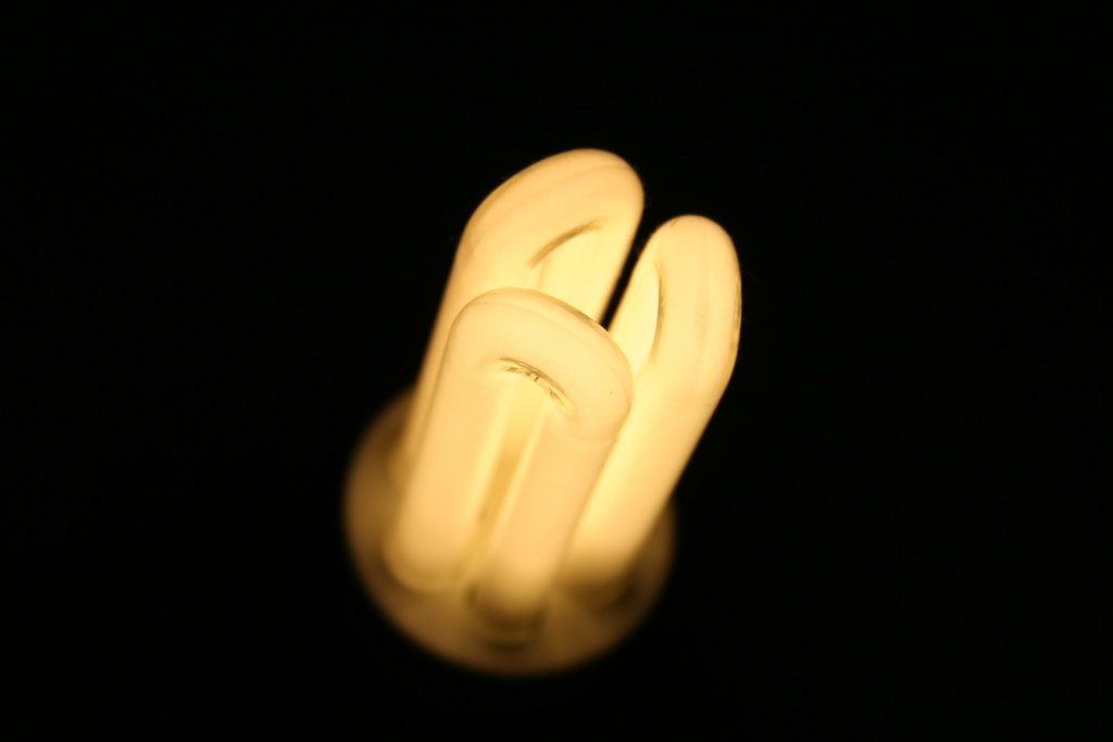 bulb